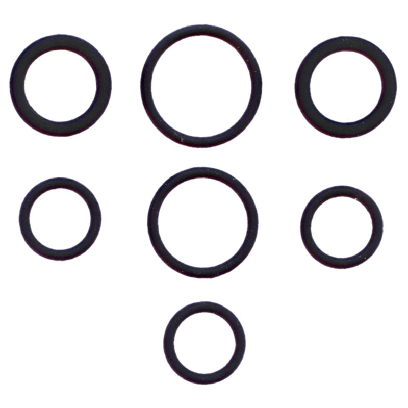 VERTEX INJECTOR O-RING 725022
