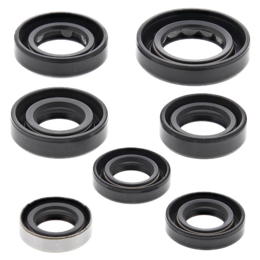 VERTEX OIL SEAL KIT 822289