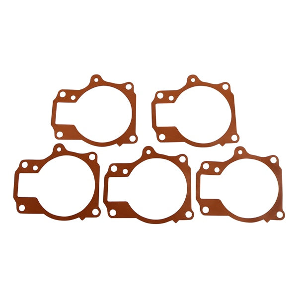 BRPEVINRUDE GASKET QTY 5 338880
