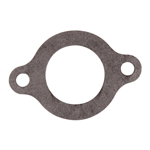 BRPEVINRUDE GASKET THRMSTAT 312797