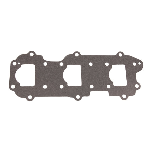 BRPEVINRUDE GASKET MANIFOLD 317305