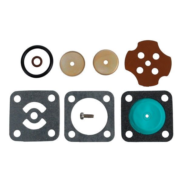 BRPEVINRUDE FUEL PUMP AY KIT 435070