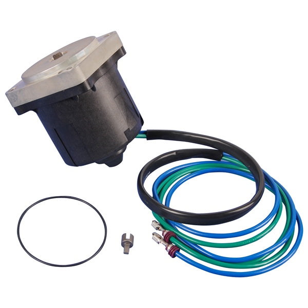 BRPEVINRUDE MOTOR/O-RING AY 5005254