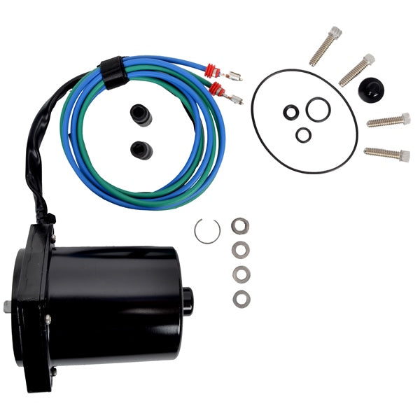 BRPEVINRUDE MOTOR/O-RING ASSEMBLY 5006319