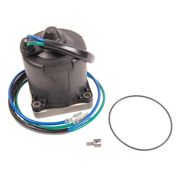 BRPEVINRUDE MOTOR/O-RING AY 5005374