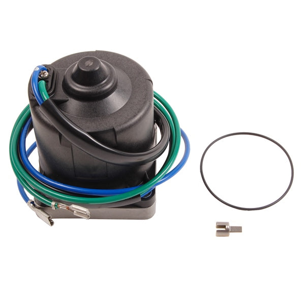 BRPEVINRUDE MOTOR/O-RING AY 5005376