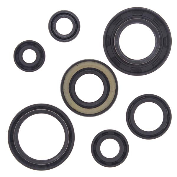 VERTEX ENGINE OIL SEAL KIT  822153
