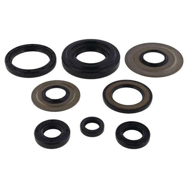 VERTEX ENGINE OIL SEAL KIT  822155