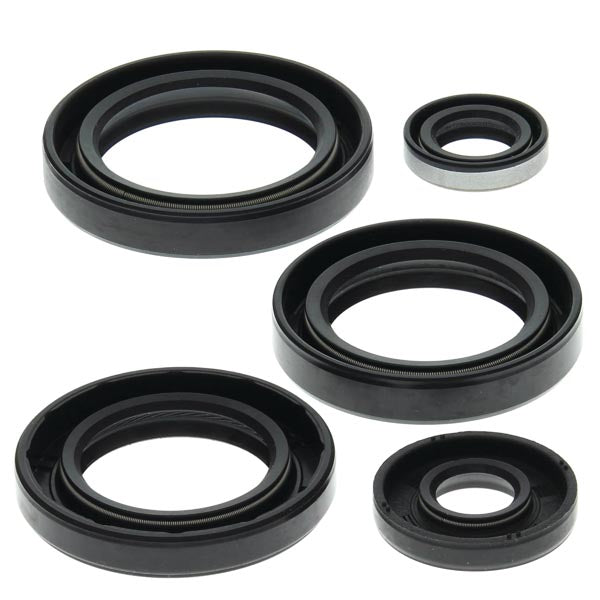 VERTEX ENGINE OIL SEAL KIT  822213