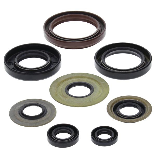 VERTEX ENGINE OIL SEAL KIT  822218