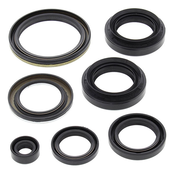 VERTEX ENGINE OIL SEAL KIT ARCTIC CAT 822239