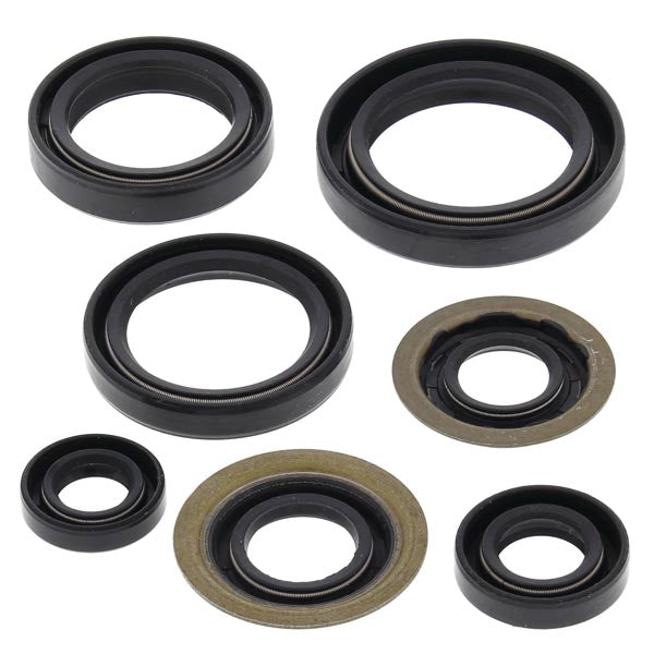 VERTEX ENGINE OIL SEAL KIT  822260