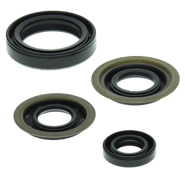VERTEX ENGINE OIL SEAL KIT  822273