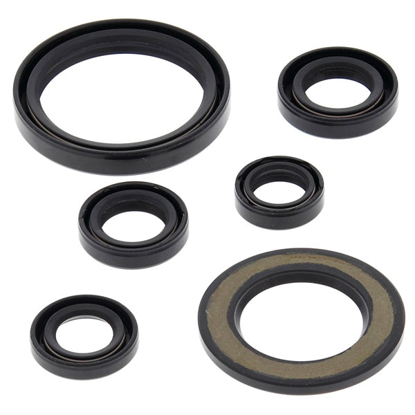 BRPEVINRUDE BRG KIT #81115 778977
