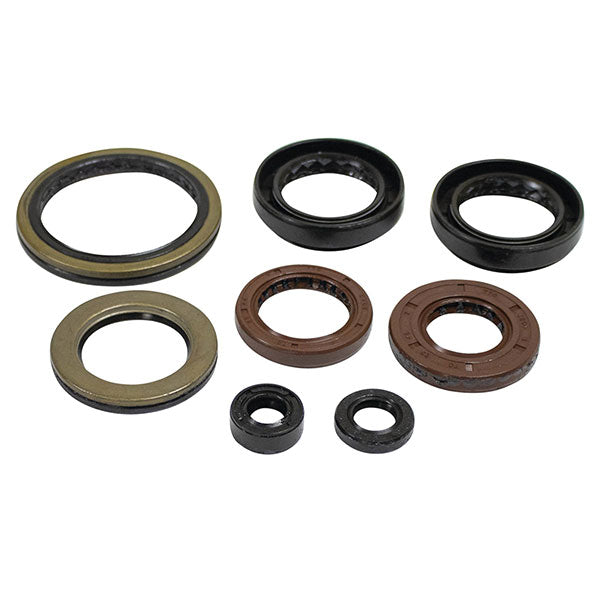 VERTEX ENGINE OIL SEAL KIT ARCTIC CAT 822402