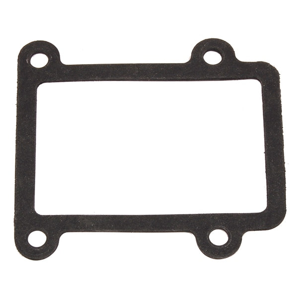 BRPEVINRUDE GASKET 350357