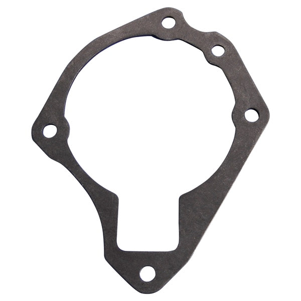 BRPEVINRUDE GASKET 303750