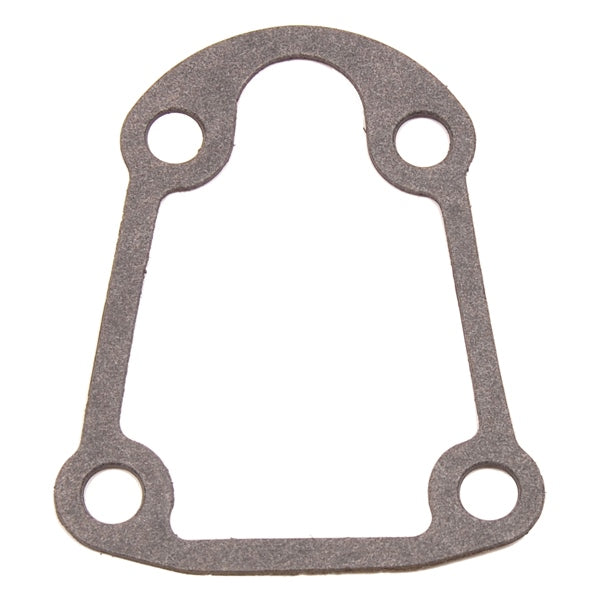 BRPEVINRUDE GASKET QTY 5 314082