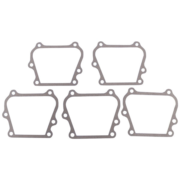 BRPEVINRUDE GASKET QTY 5 307133
