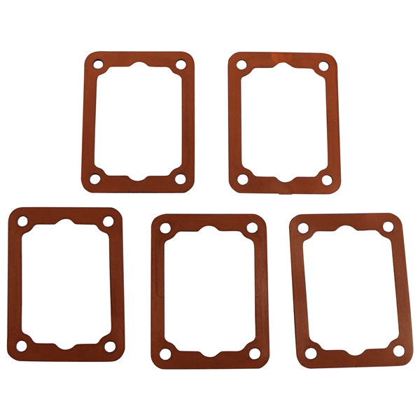 BRPEVINRUDE GASKET QTY 5 125530