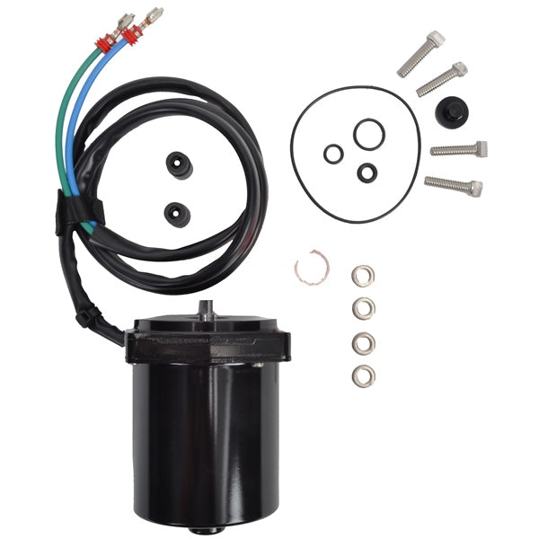 BRPEVINRUDE MOTOR/O-RING AY 5005831