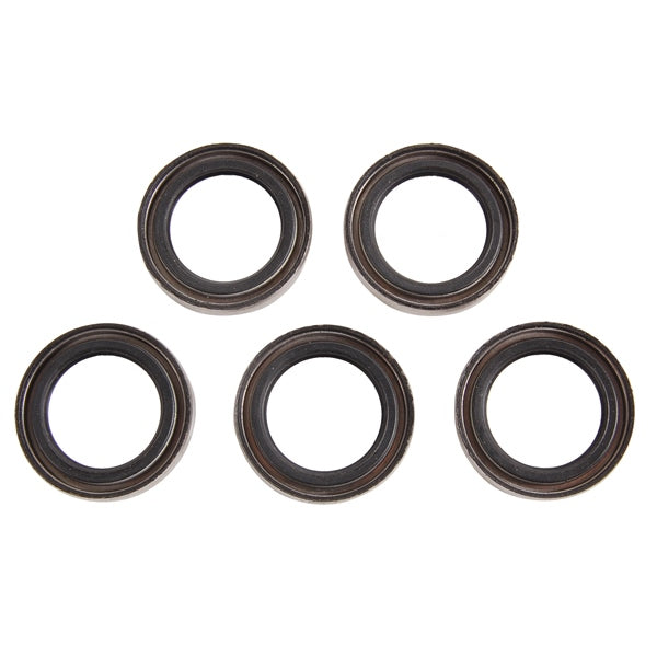 BRPEVINRUDE OIL RETAINER QTY 5 321466