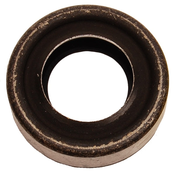 BRPEVINRUDE OIL SEAL 313284