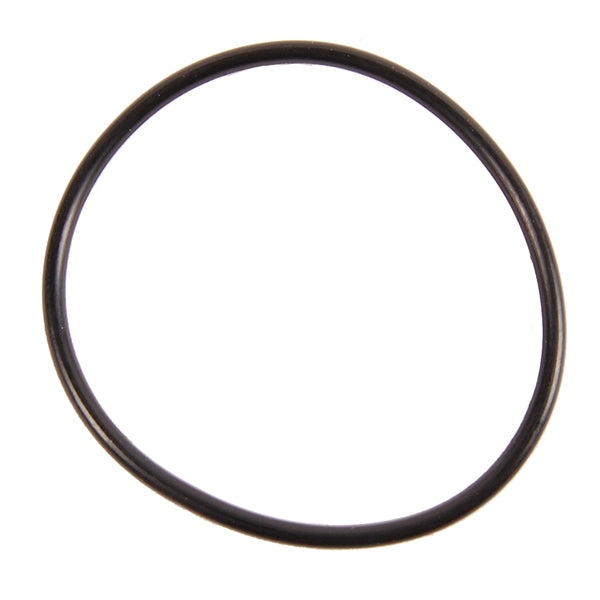 BRPEVINRUDE O-RING 322494