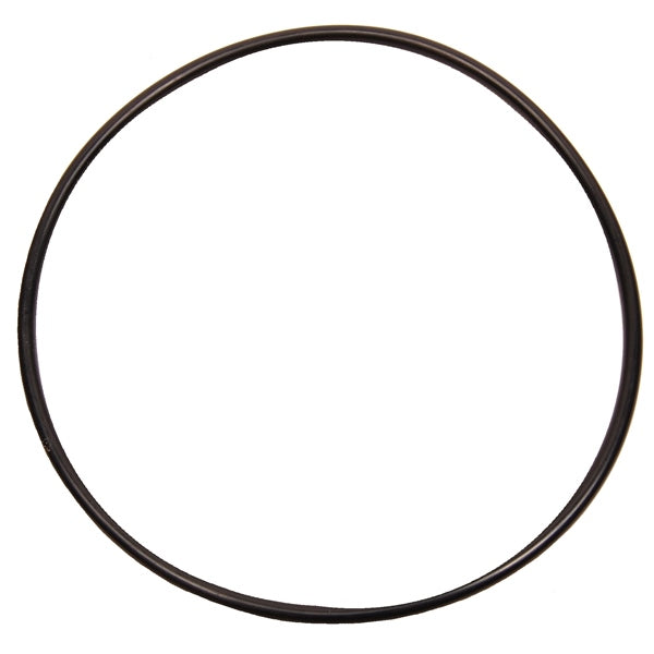 BRPEVINRUDE O-RING 326849