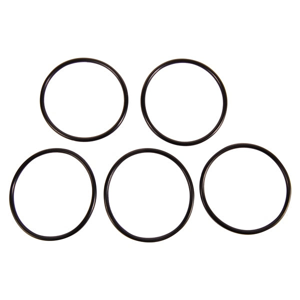 BRPEVINRUDE O-RING QTY 5 319662