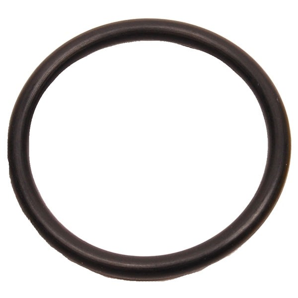 BRPEVINRUDE O-RING QTY 5 911718