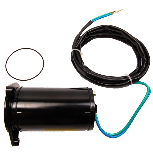 BRPEVINRUDE TILT MOTOR 394176