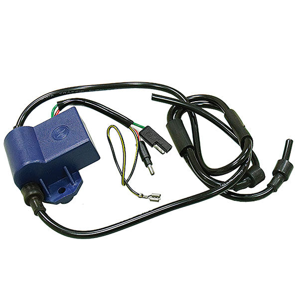 SPX CDI IGNITION BOX SKI-DOO 01-143-43
