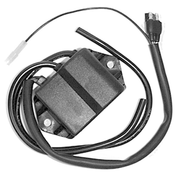 SPX CDI IGNITION BOX POLARIS 01-404