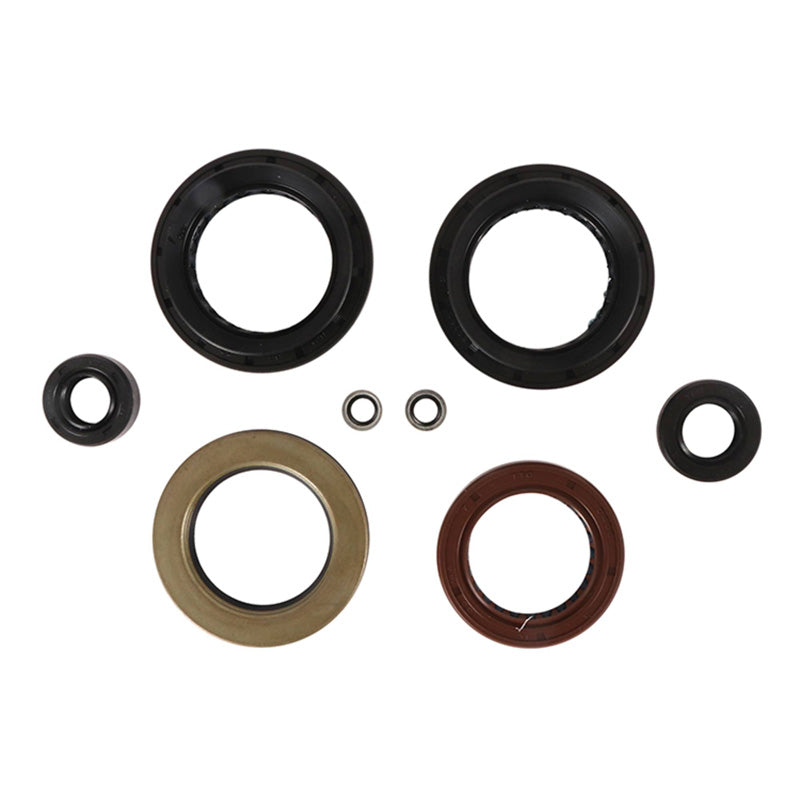 VERTEX OIL SEAL KIT 822382