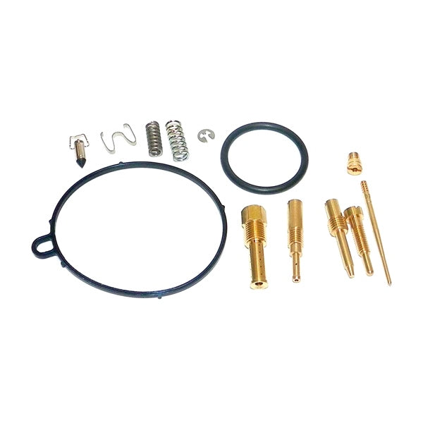 WSM CARBURETOR KIT WSM 016-420