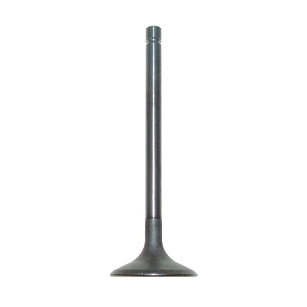 WSM INTAKE VALVE  WSM 017-313-01