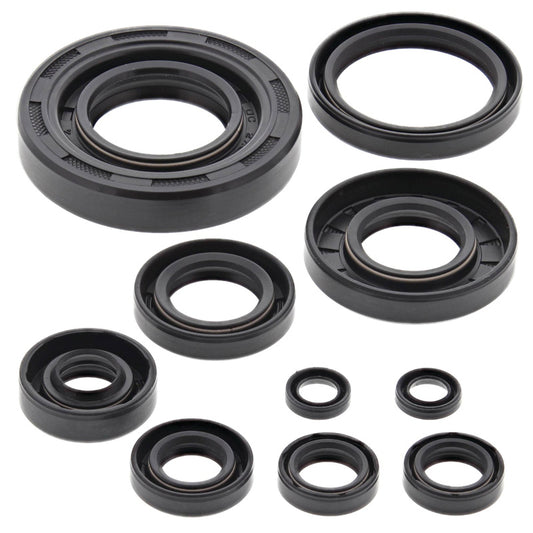 VERTEX OIL SEAL KIT 822304
