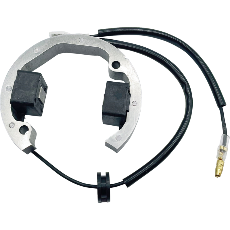 RICK'S MOTORSPORT ELECTRIC STATOR KTM 21-0093