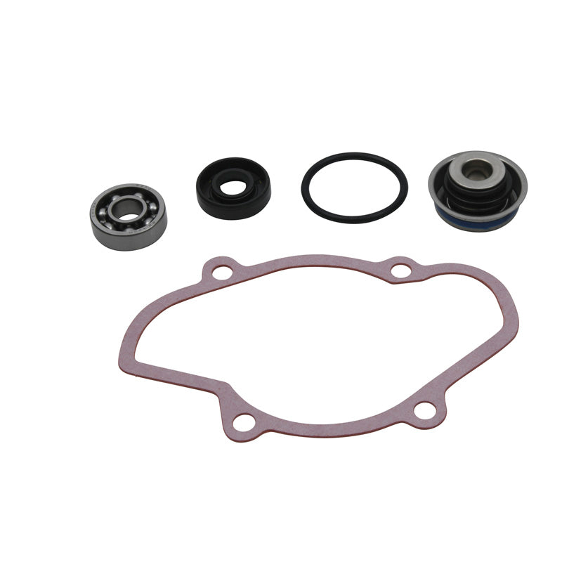 VERTEX WATER PUMP REBUILD KIT 721312