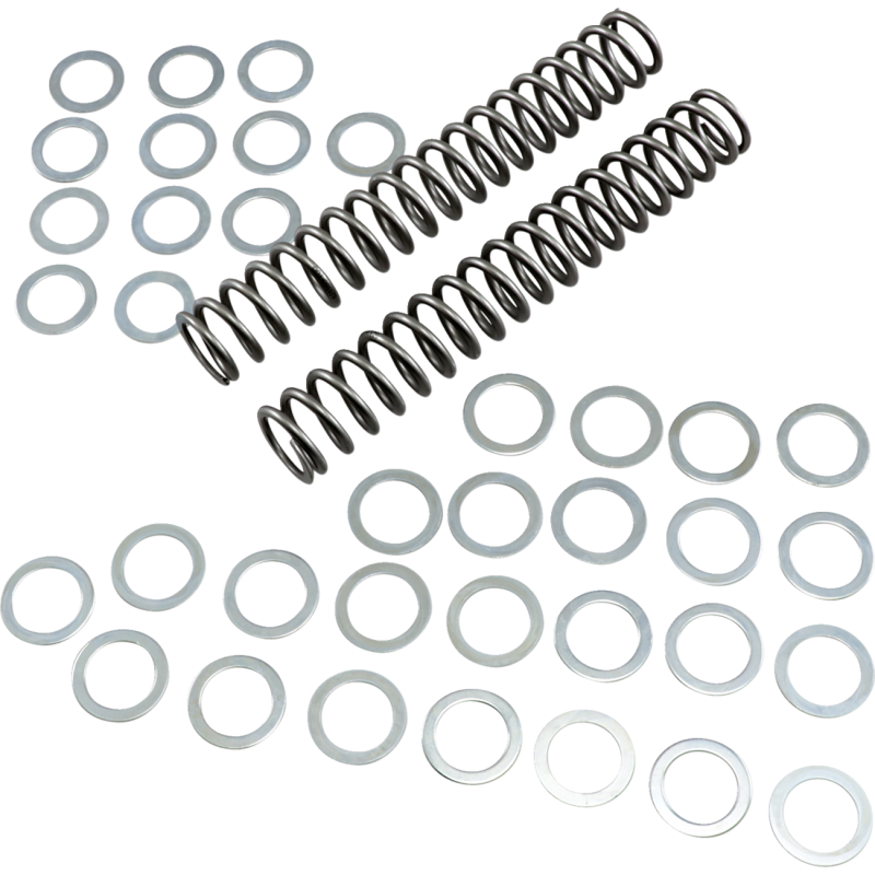 RACE TECH 1.00 KG/MM FORK SPRING SET '04 YZFR1 FRSP S3825100