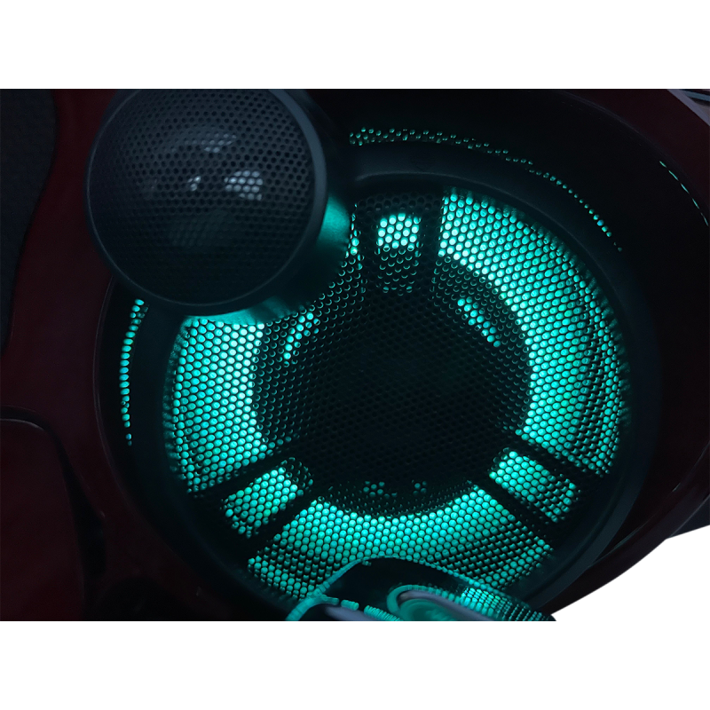 CUSTOM DYNAMICS LIGHT PRGLW LED SPKR TPAK (PR) PG-SPEAKER-R-1