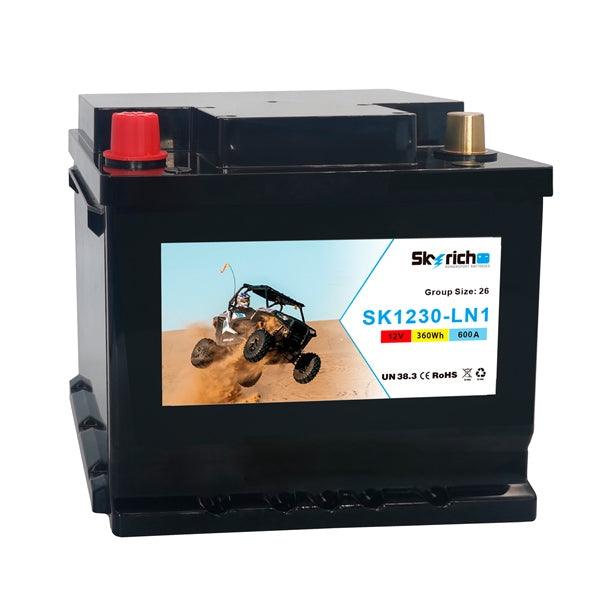 SKYRICH SK1230-LN1 LITHIUM ION BATTERY SK1230-LN1