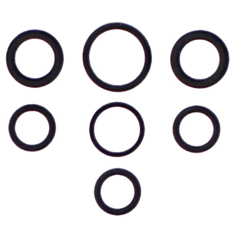 VERTEX INJECTOR O-RING 725021