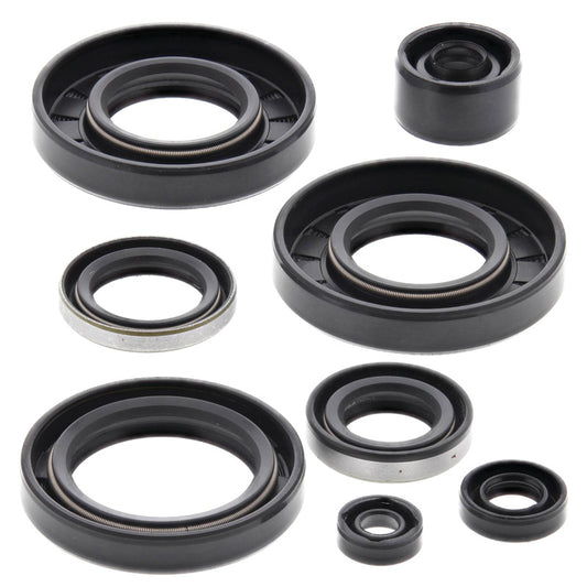 VERTEX OIL SEAL KIT 822293