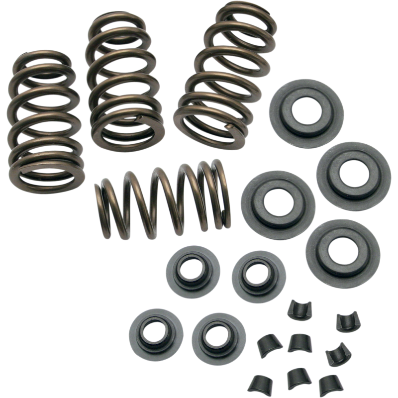 S&S CYCLE 84-04 B/T .650" VALVE SPR KIT 900-0050