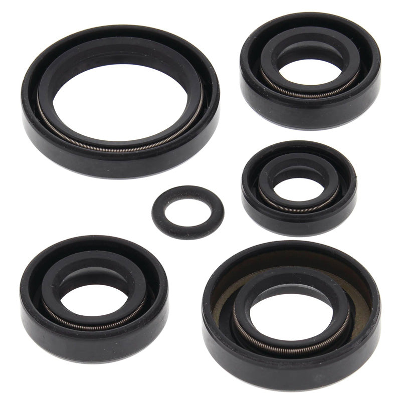 VERTEX OIL SEAL KIT 822242
