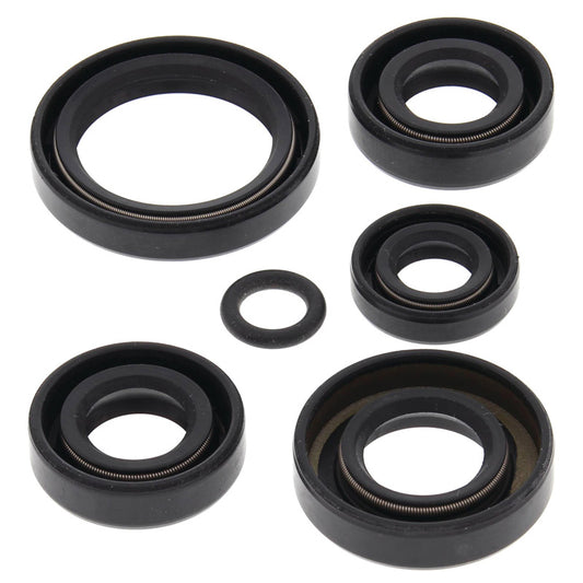 VERTEX OIL SEAL KIT 822242