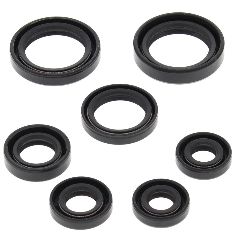 VERTEX OIL SEAL KIT 822236