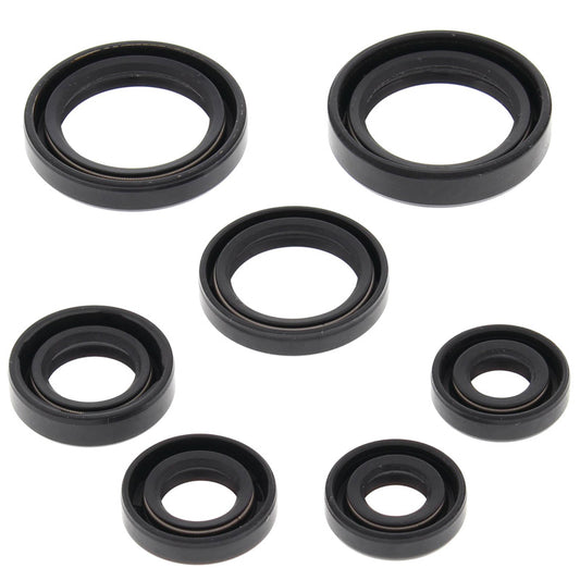VERTEX OIL SEAL KIT 822236